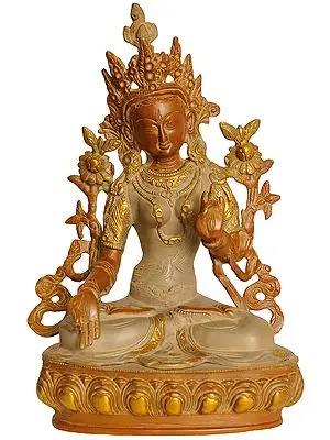 Goddess White Tara (Tibetan Buddhist Deity)