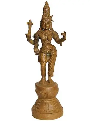 Ardhanarishvara (Shiva Shakti)