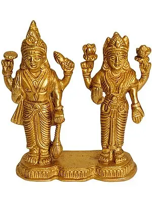 Lord Vishnu with Lakshmi Ji