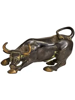 Bull