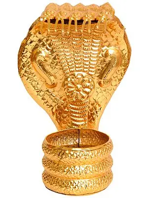 Sheath for Shiva Linga