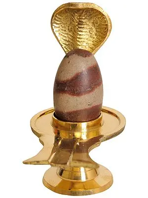 Narmada Shiva Linga