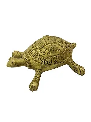 Vastu Tortoise