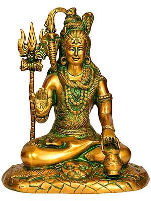 10" Lord Shiva with Kamandalu In Brass | Handmade | Made In India