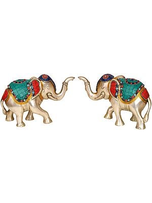 Pair of Elephant (Supremely Auspicious According to Vastu)