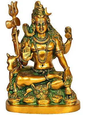 Lord Shiva Seated on Lion Skin with Nandi