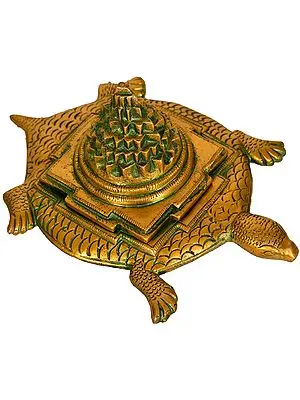 Shri Yantra on Tortoise (Auspicious According To Vastu)