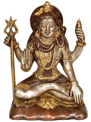 6" Blessing Lord Shiva In Brass | Handmade | Made In India