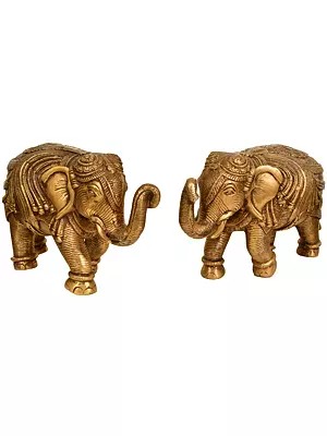 Ornamented Elephant Pair (Supremely Auspicious According to Vastu)