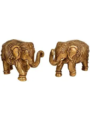 Ornamented Elephant Pair (Supremely Auspicious According to Vastu)