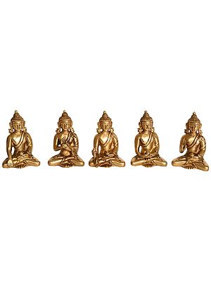 Five Dhyani Buddhas Conch - Tibetan Buddhist