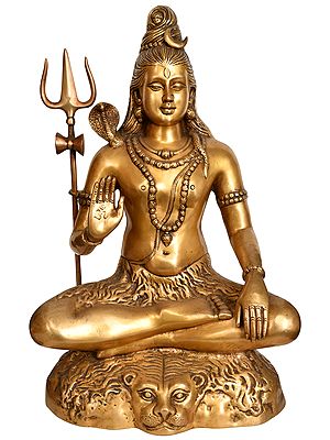 22" Blessing  Lord Shiva in Meditation In Brass | Handmade | Made In India