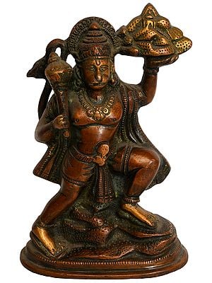 6" Lord Hanuman Lifting Mount of Sanjivani Herbs In Brass | Handmade | Made In India