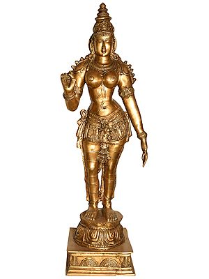 Devi Parvati, The Himalayan Maha-Tapasvini