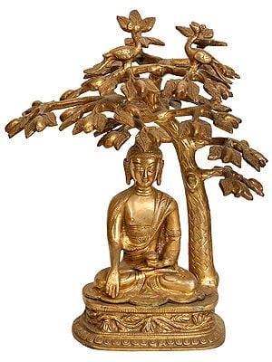 12" Lord Buddha Meditating Under the Bodhi Tree (Tibetan Buddhist Deity) In Brass | Handmade | Made In India