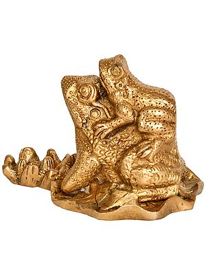 Pair of Feng Shui Frogs
