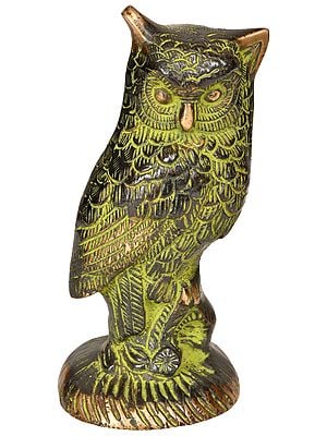 Owl Statue Crafted from Brass | Decorative Bird Statues
