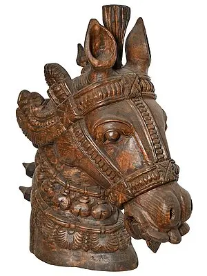 Horse Head
