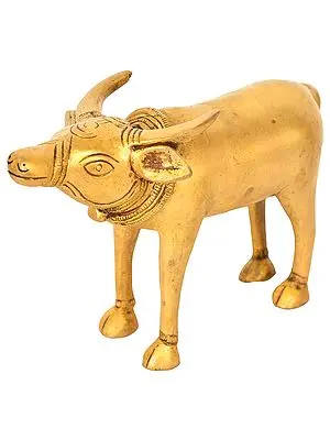 Bull
