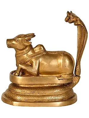 8" The Coiled Energy of the Kundalini In Brass | Handmade | Made In India