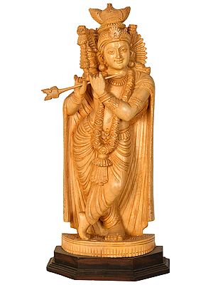 Shri Krishna - The Divine Musician