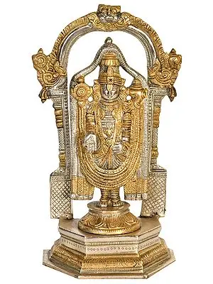 11" Lord Venkateshvara as Balaji at Tirupati In Brass | Handmade | Made In India