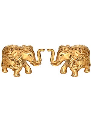Pair of Elephant with Upraised Trunk (Auspicious According to Vastu)