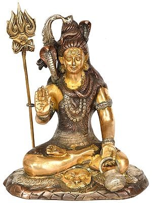 10" Shiva The Yogi with Kamandalu In Brass | Handmade | Made In India