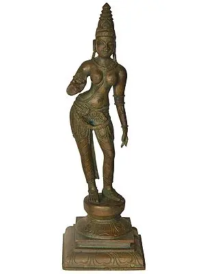 The Tall, Imposing Devi Parvati