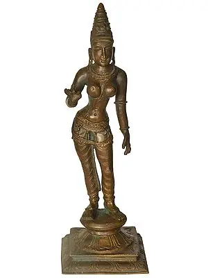 Standing Devi Parvati