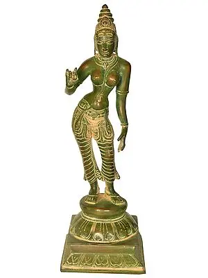 11" Goddess Parvati Brass Statue | Indian Handcrafted Idol