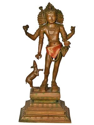 Superfine Bhikshasthana Shiva: The Enchanting Mendicant Who Seeks Alms