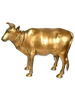 22" Large Size Cow - The Most Sacred Animal of India In Brass | Handmade | Made In India