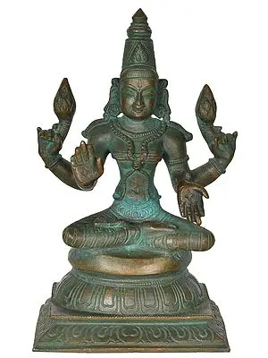 Lotus Lakshmi