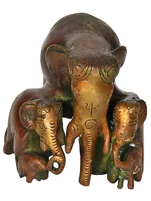 Elephant Family