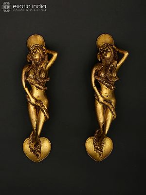 Snake Woman Door Handle