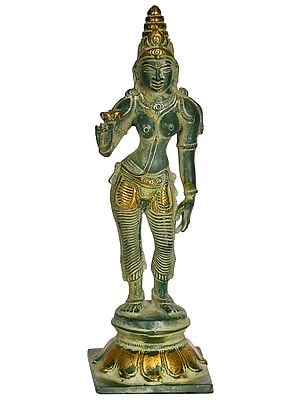 7" Devi Parvati In Brass | Handmade | Made In India