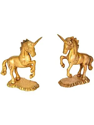 Pair of Unicorn
