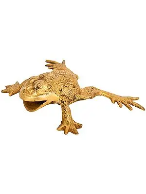Feng Shui Leaping Frog
