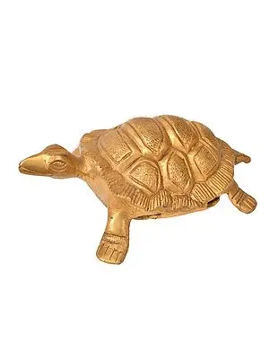 Vastu Tortoise with Yantra Underneath