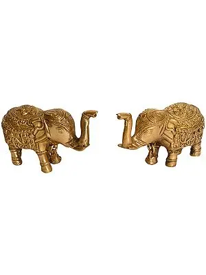 Pair of Upraised Trunk Elephants with Bell (For Vastu)