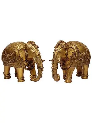 Pair of Ornamented Elephants