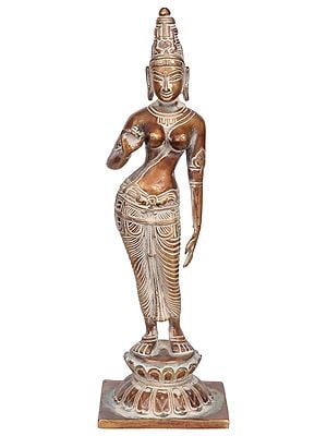 13" Goddess Parvati In Brass | Handmade | Made In India