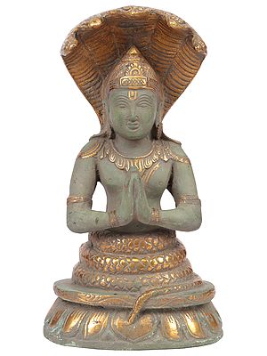 8" Patanjali, Avatar Of Sheshnag In Brass | Handmade | Made In India