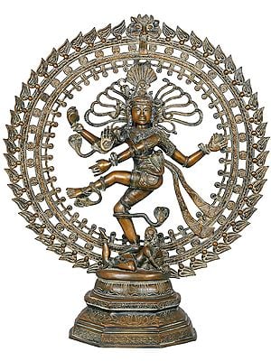 31" Stable Like the Universe with Its Gyrating Galaxies In Brass | Lord Shiva as Nataraja | Handmade | Made In India