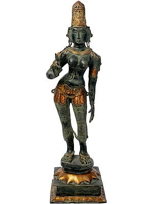 29" Standing Uma In Brass | Handmade | Made In India