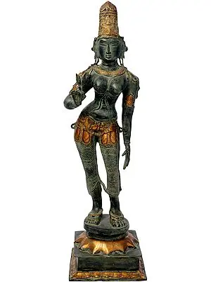 29" Standing Uma in Brass | Handmade | Made in India