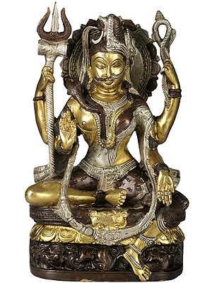 9" All is Nothing But Shiva and Parvati (Ardhanarishvara) In Brass | Handmade | Made In India