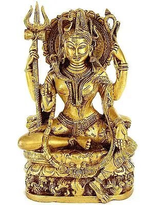 9" All is Nothing But Shiva and Parvati (Ardhanarishvara) In Brass | Handmade | Made In India