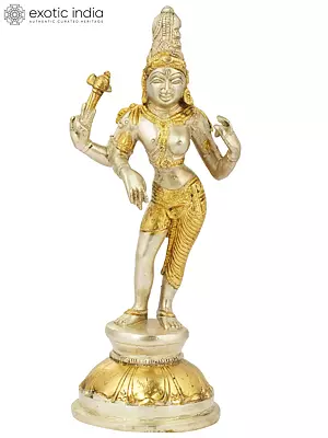 8" Ardhanarishvara In Brass | Handmade | Made In India